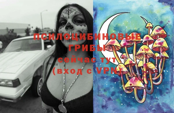 прущая мука Дмитровск