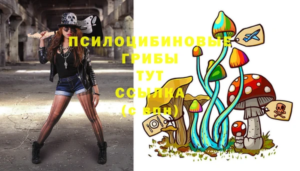 синтетический гашиш Дмитриев