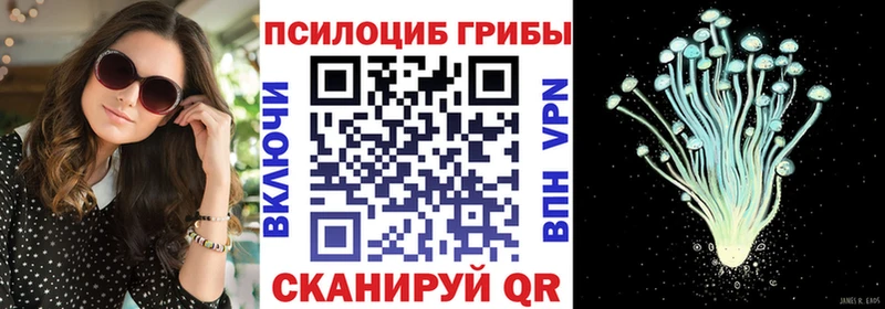 Купить  Пугачёв  Галлюциногенные грибы Psilocybine cubensis 